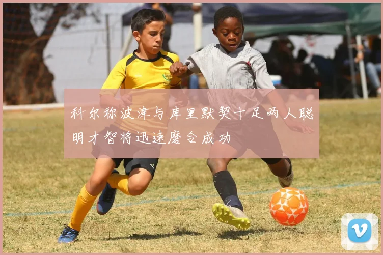 科尔称波津与库里默契十足两人聪明才智将迅速磨合成功